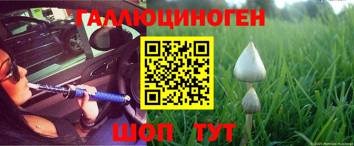 Шахты  Галлюциногенные грибы Psilocybine cubensis  Вход с VPN 