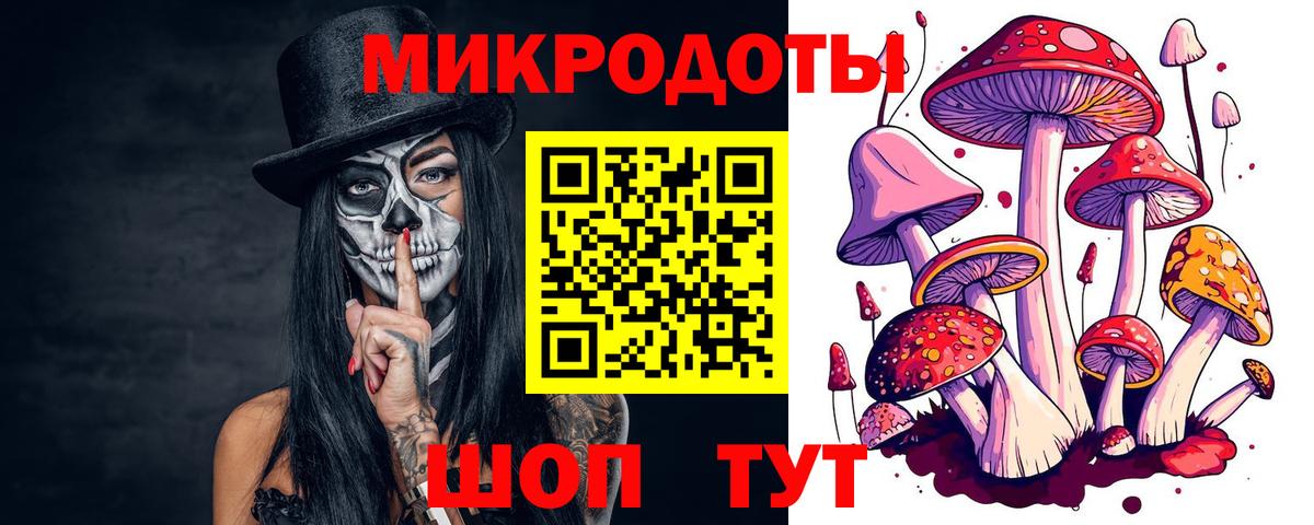 Галлюциногенные грибы Psilocybe Шахты